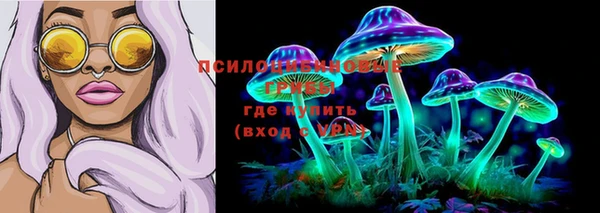 гашик Алексин