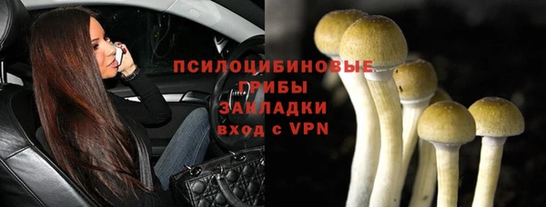 мяу мяу мука Алзамай