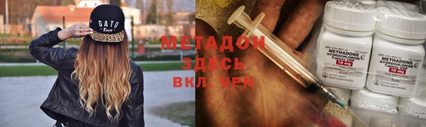 гашик Алексин