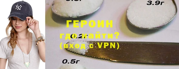 гашик Алексин