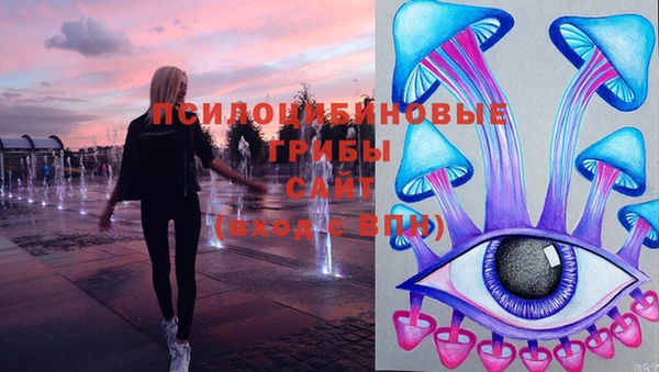 гашик Алексин