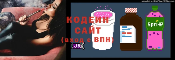 гашик Алексин