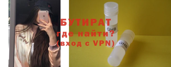 гашик Алексин