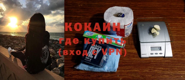 гашик Алексин